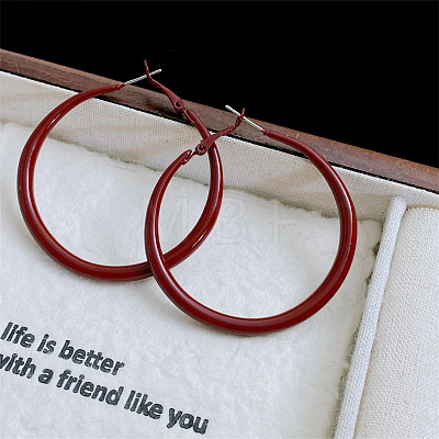 Spray Painted Alloy Hoop Earrings FS-WG43B6B-11-1