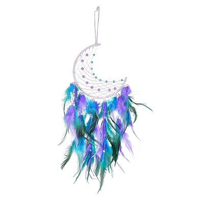 Iron Woven Web/Net with Feather Pendant Decorations LS-AJEW-P097-06-1