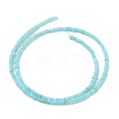 Natural Freshwater Shell Beads Strands SHEL-P017-01A-03-1