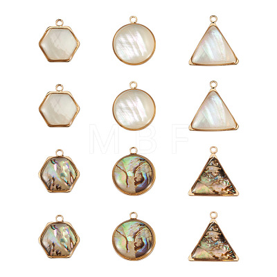 Craftdady 12Pcs 6 Styles Natural Shell Pendant Sets SHEL-CD0001-03-1