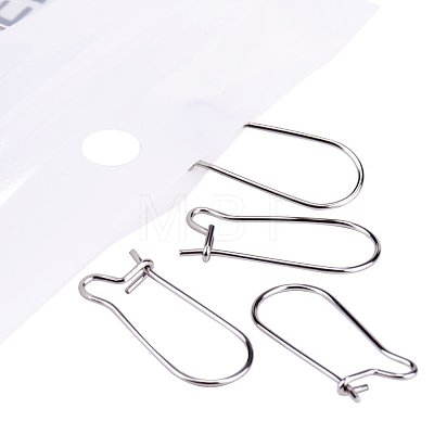 304 Stainless Steel Hoop Earrings Findings Kidney Ear Wires STAS-PH0002-23P-1