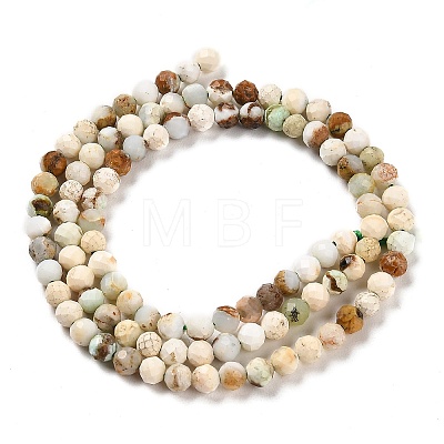 Natural Green Opal Beads Strands G-Z035-A02-03A-1