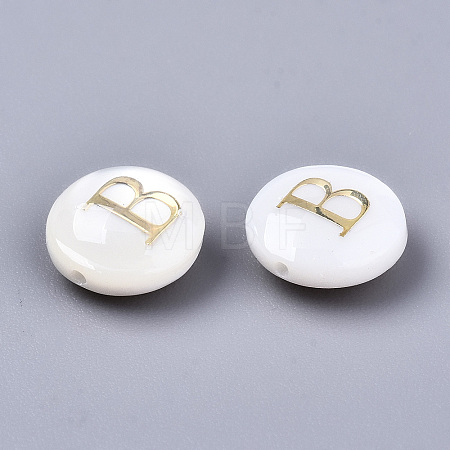Natural Freshwater Shell Beads SHEL-S266-12B-1