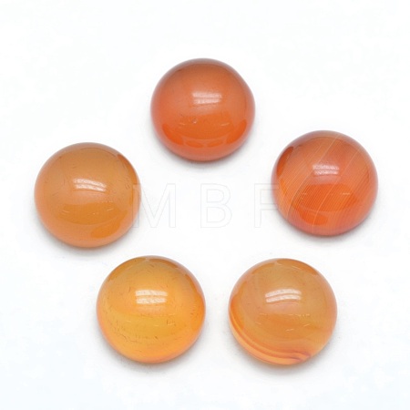 Natural Carnelian Cabochons G-P393-R41-10mm-1