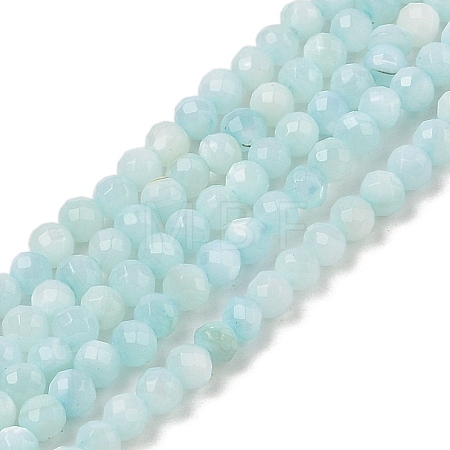 Natural Freshwater Shell Dyed Beads Strands SHEL-R100-12A-02-1