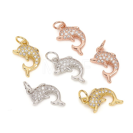 Brass Micro Pave Cubic Zirconia Charms ZIRC-L096-09-1