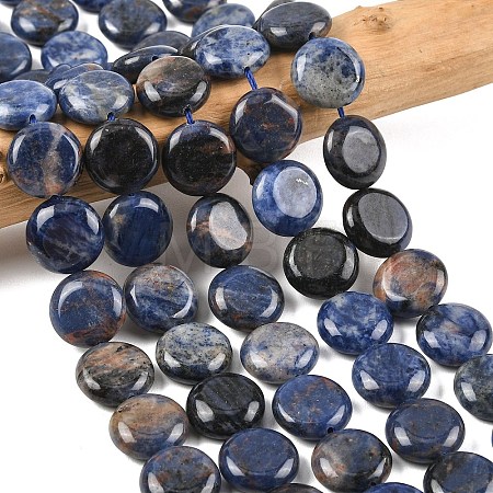 Natural Sodalite Beads Strands G-L648-B07-15mm-1