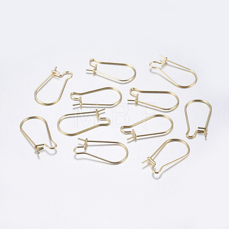 304 Stainless Steel Hoop Earrings STAS-L198-15B-G-1