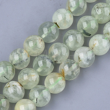 Natural Prehnite Beads Strands G-S333-10mm-032-1