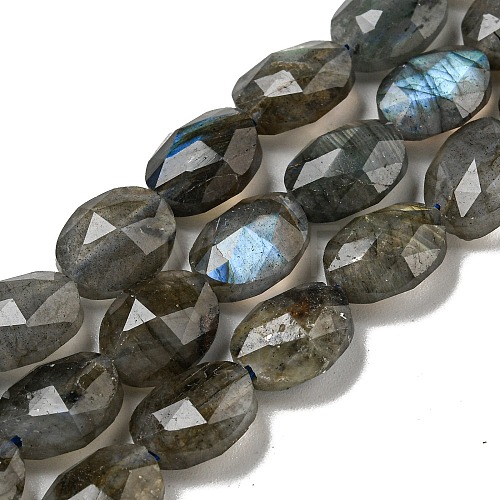 Natural Labradorite Beads Strands G-P544-D06-01-1