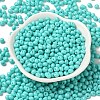 6/0 Opaque Baking Paint Glass Seed Beads SEED-M012-02A-01-2