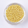 Pearlized Cylinder Seed Beads SEED-Q036-02A-E11-2