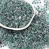Transparent Inside Colours Glass Seed Beads X1-SEED-A032-04W-1