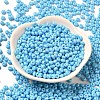 Baking Paint Glass Seed Beads X1-SEED-B001-02A-12-2