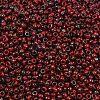MIYUKI Round Rocailles Beads SEED-G008-RR4521-2