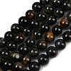 Natural Yellow Blue Tiger Eye(Dyed & Heated) Bead Strands G-P230-07-6mm-AB-1