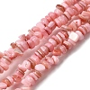 Natural Freshwater Shell Beads SHEL-B003-01N-1