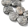 Natural Map Stone Beads Strands G-A309-A17-01-3