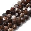 Natural Petrified Wood Beads Strands G-Z119-A21-02-3