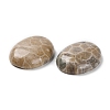 Natural Fossil Coral Cabochons G-J329-20-10x14mm-6