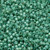 TOHO 8/0 Round Beads X-SEED-TR08-2119-2