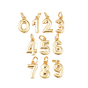 Brass Charms KK-G544-10G-1