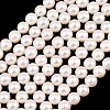 Electroplated Shell Pearl Beads Strands BSHE-C011-01A-1