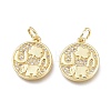 Brass Micro Pave Clear Cubic Zirconia Charms ZIRC-L076-050G-1