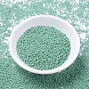 MIYUKI Delica Beads SEED-X0054-DB2125-2
