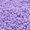 Macaron Color Opaque Frosted Glass Seed Beads SEED-K009-12B-14-3