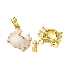 Brass Micro Pave Cubic Zirconia Pendants KK-F911-18G-02-2