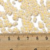 Glass Seed Beads SEED-K009-02B-16-4