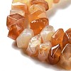 Natural Botswana Agate Beads Strands G-D091-A23-4