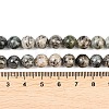 Natural K2 Stone Beads Strands G-K405-B03-8mm-6