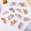 Natural Cherry Blossom Agate Display Decorations G-PW0004-01A-1