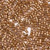 FGB 11/0 Grade A Baking Paint Glass Seed Beads X-SEED-S030-1146-2