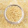 8/0 Glass Seed Beads SEED-A016-3mm-202-3