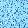 Opaque Baking Paint Glass Seed Beads SEED-T008-02P-3