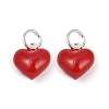 Alloy Enamel Charms PALLOY-R158-03S-03-1