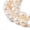 Natural Cultured Freshwater Pearl Beads Strands PEAR-P064-19J-06D-4