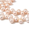 Natural Cultured Freshwater Pearl Beads Strands PEAR-I007-04E-03C-4