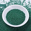 MIYUKI Delica Beads SEED-MY11-DB0656-2