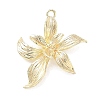 Brass Pendants KK-G601-05G-07-1