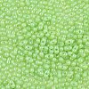 Baking Paint Glass Seed Beads SEED-L011-09A-18-3