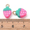Handmade Polymer Clay Charms CLAY-C008-01-3