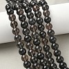 Natural Ice Obsidian Beads Strands G-P590-A03-10mm-02-1