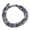 Natural Iolite Beads Strands X-G-G300-A04-6mm-3