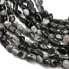 Natural Eagle Eye Stone Beads Strands G-D108-A02-04-3