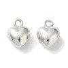 925 Sterling Silver Charms STER-H106-01C-S-1