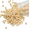 TOHO 6/0 Round Beads SEED-TR06-0051-1